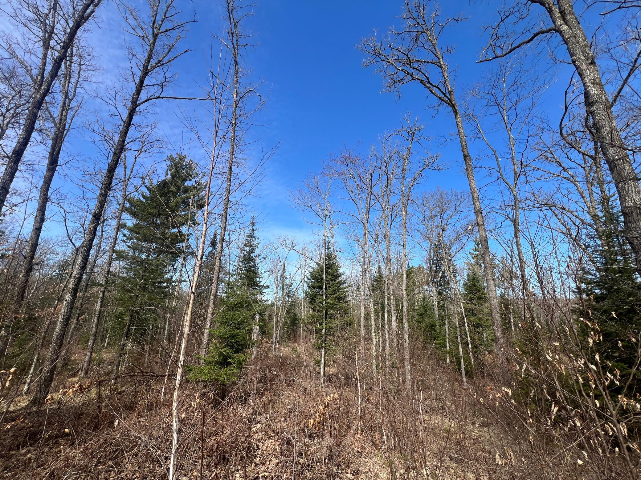 Xxx Yellowsands Drive, Spooner, Wisconsin image 18