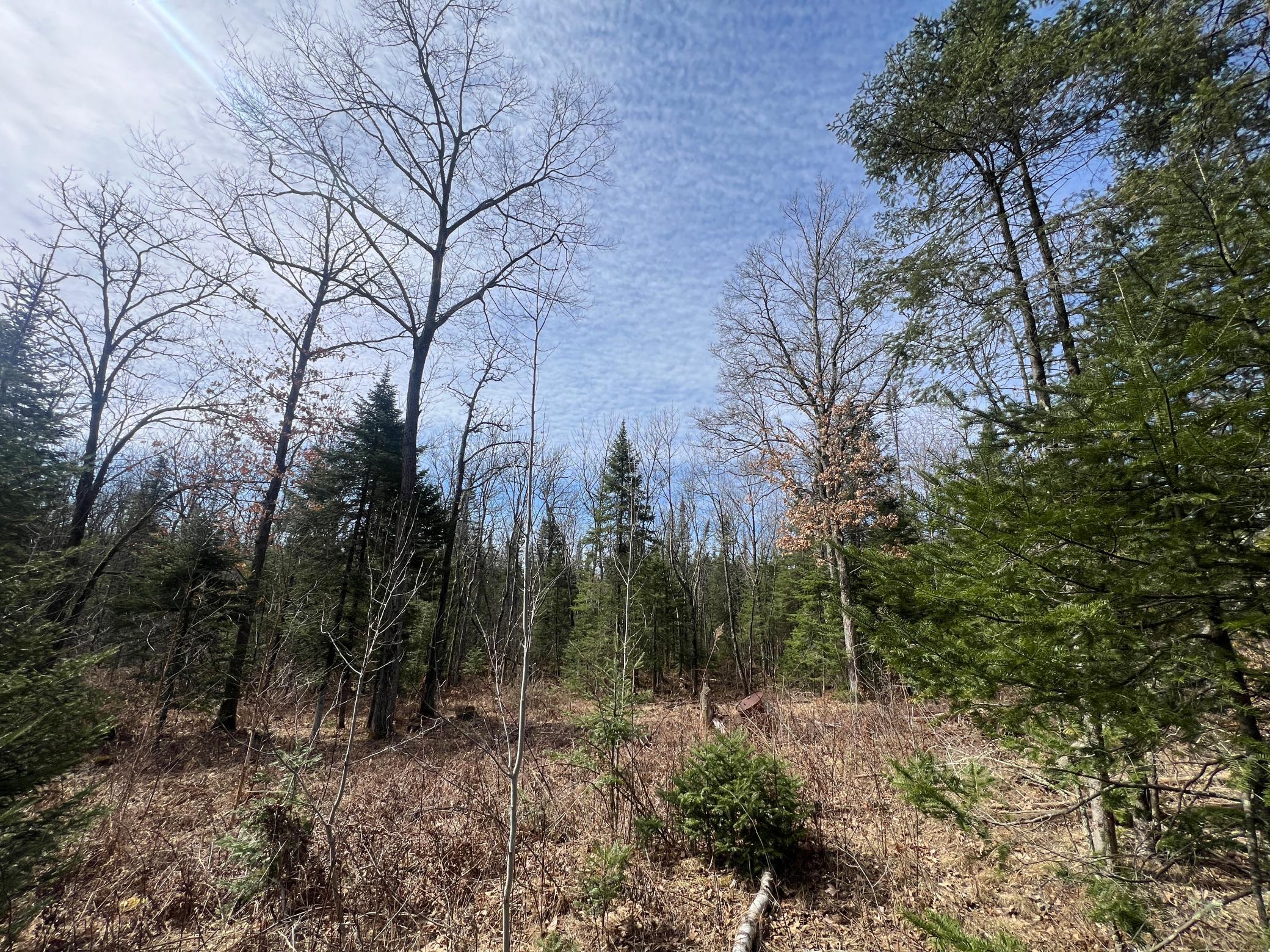 Xxx Yellowsands Drive, Spooner, Wisconsin image 14