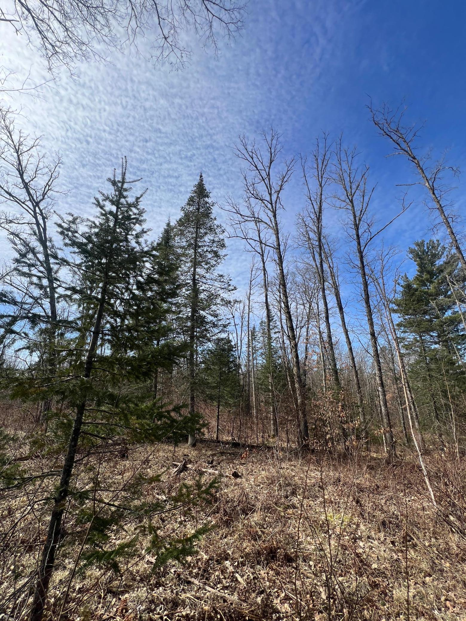Xxx Yellowsands Drive, Spooner, Wisconsin image 17