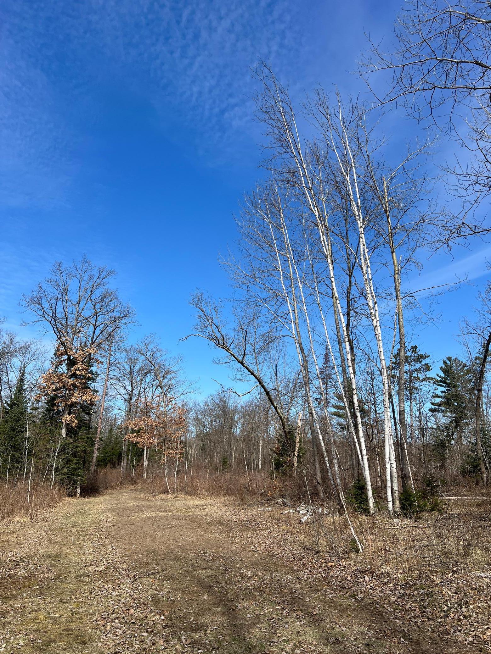 Xxx Yellowsands Drive, Spooner, Wisconsin image 11
