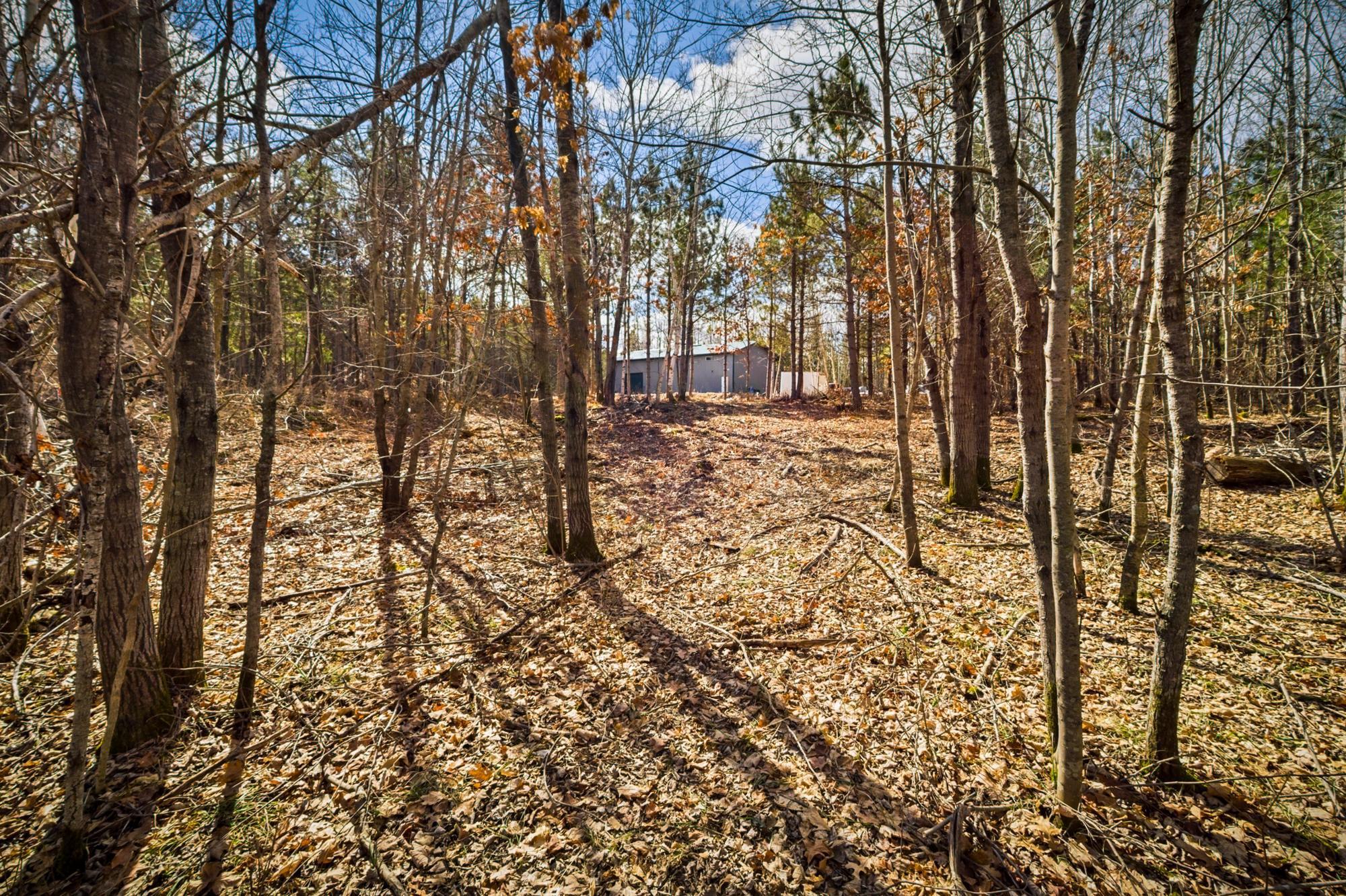 20163 E Tranquility Drive, Brainerd, Minnesota image 3