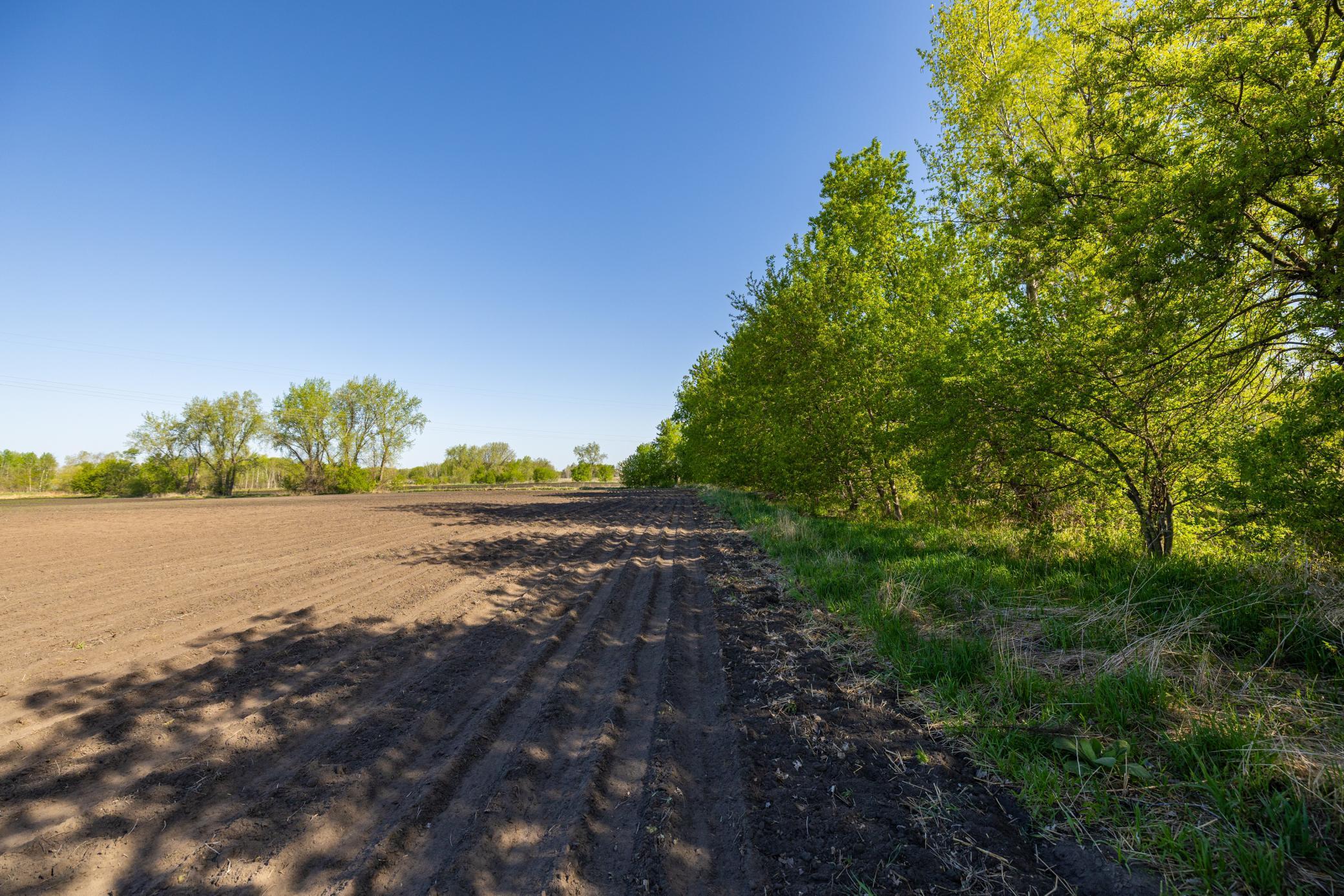 Parcel A 24+/-AC 465th Street, Harris, Minnesota image 1