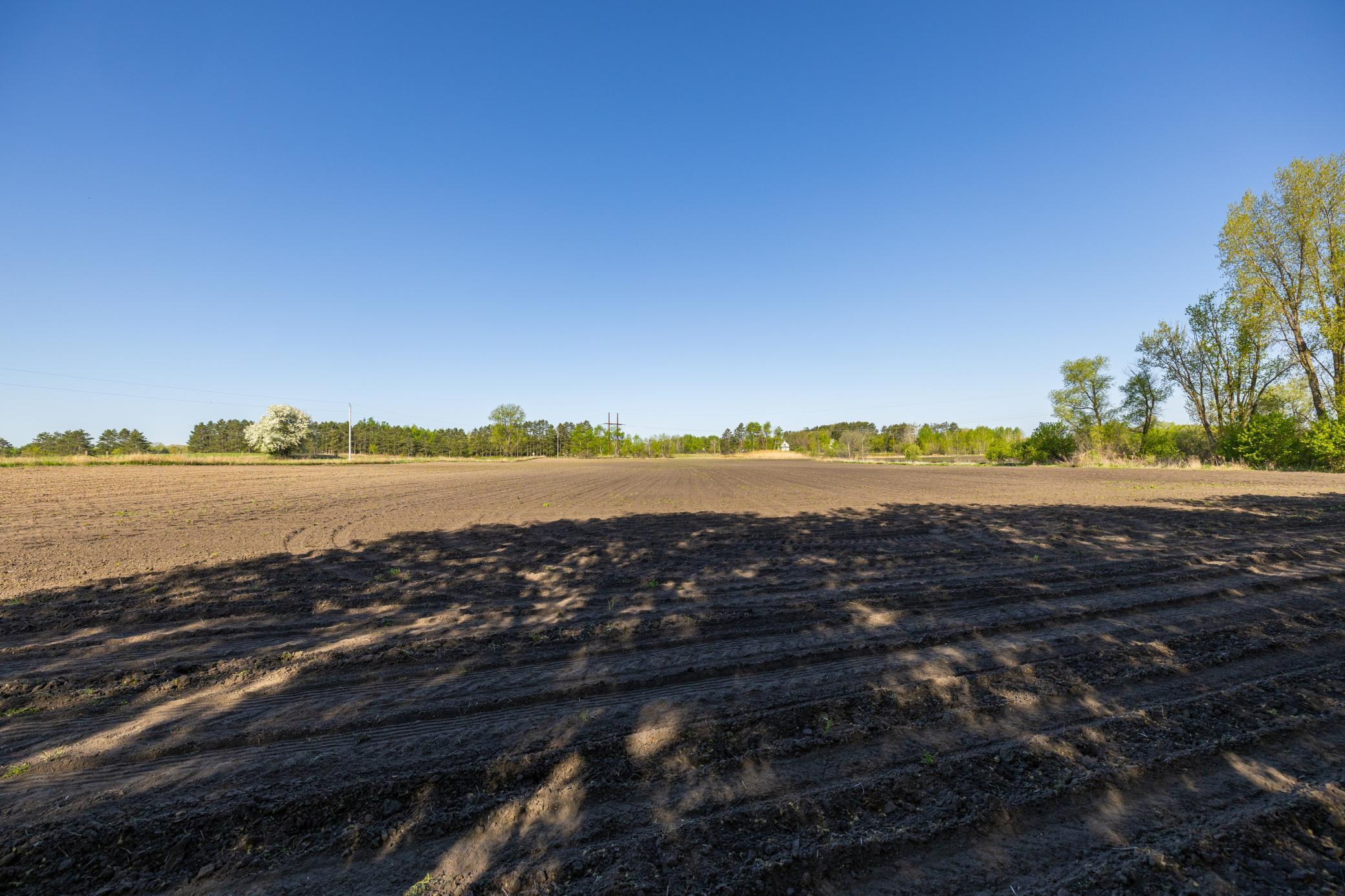Parcel A 24+/-AC 465th Street, Harris, Minnesota image 7