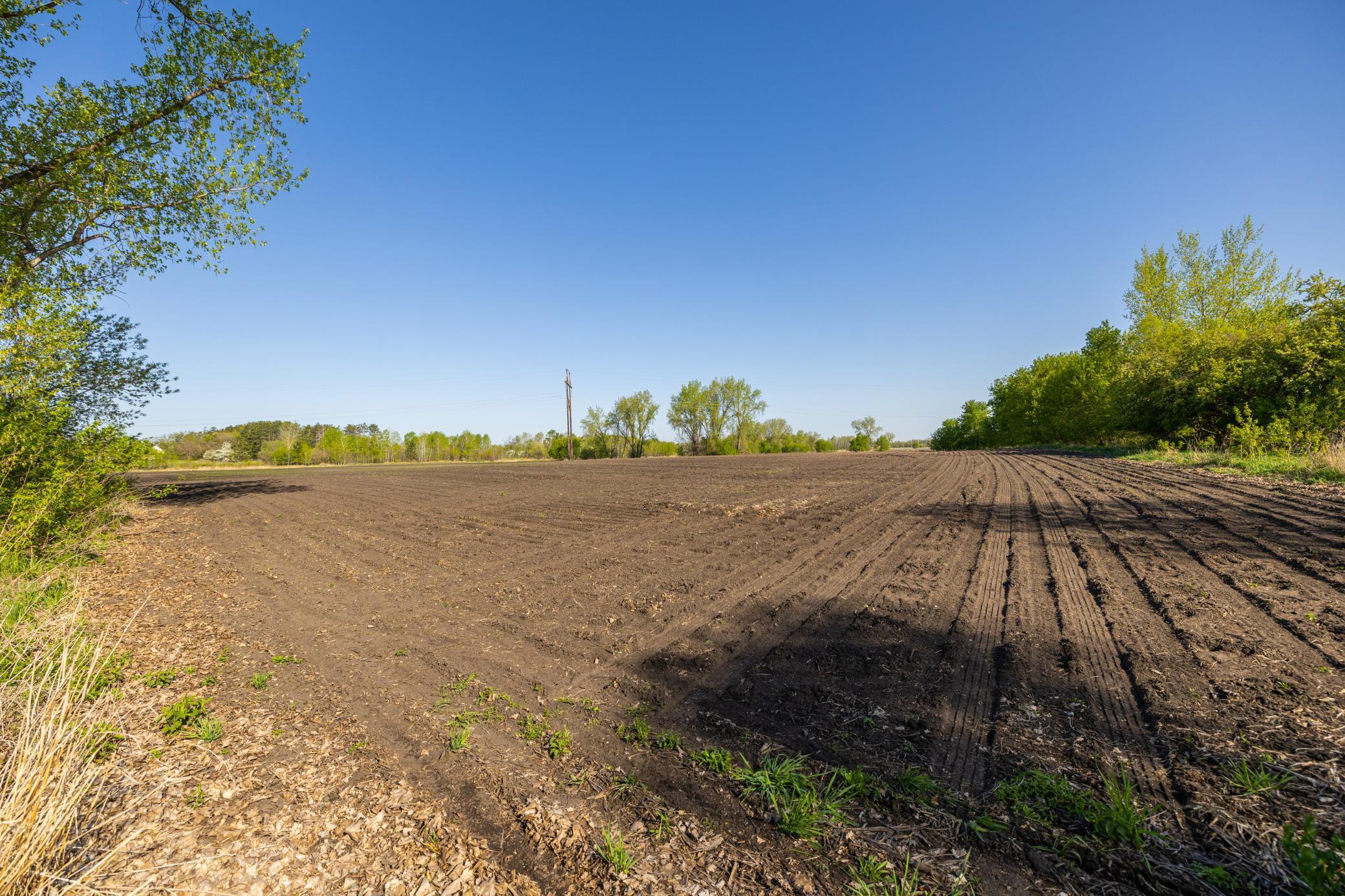 Parcel A 24+/-AC 465th Street, Harris, Minnesota image 16