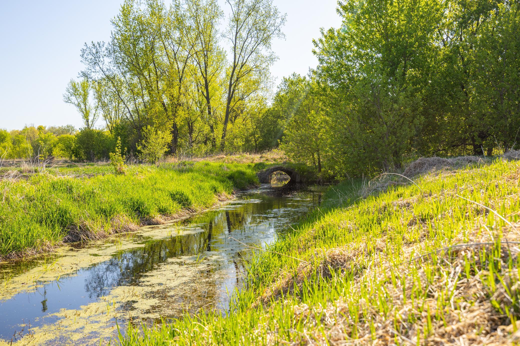 Parcel A 24+/-AC 465th Street, Harris, Minnesota image 20