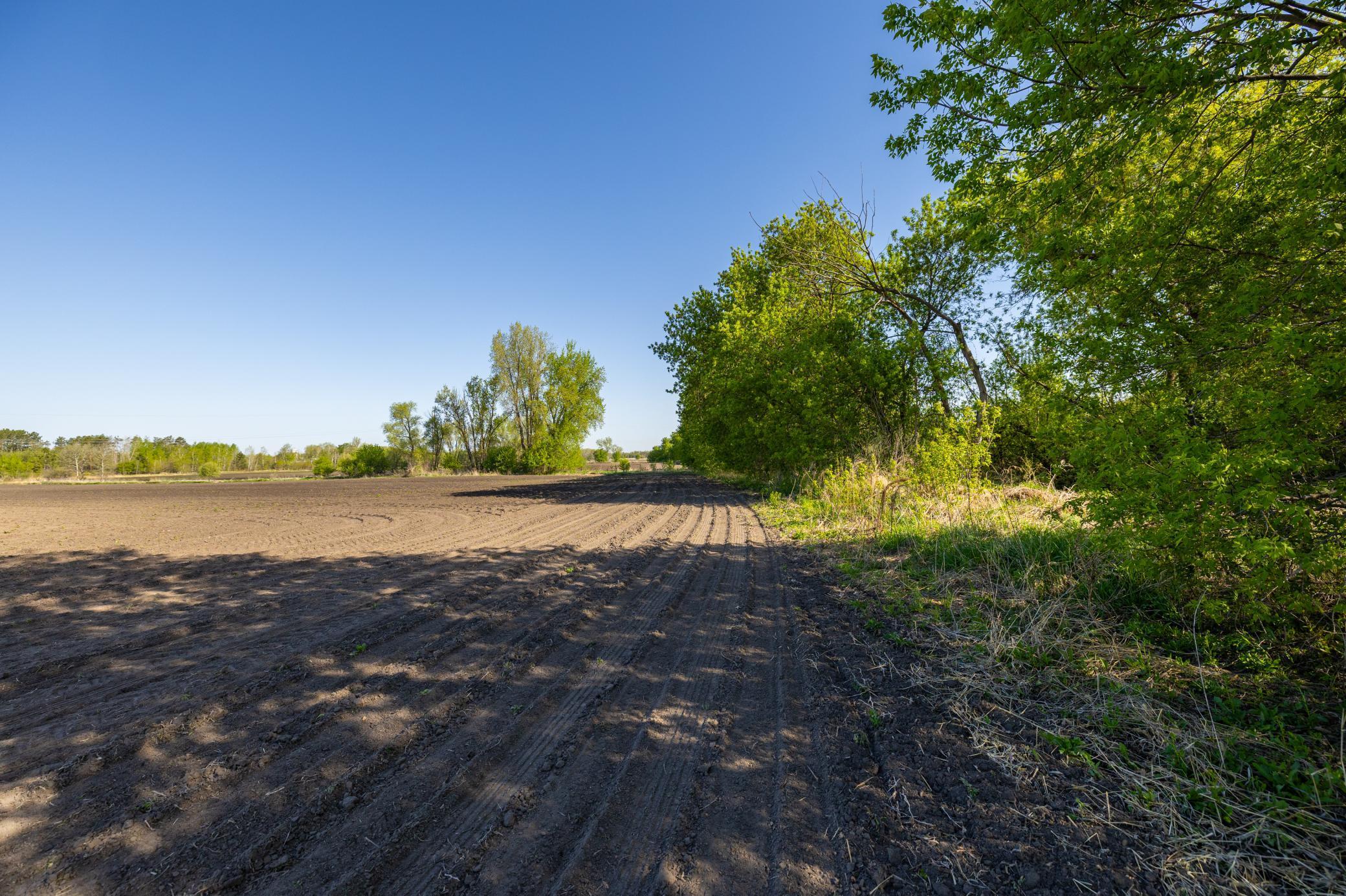 Parcel A 24+/-AC 465th Street, Harris, Minnesota image 10