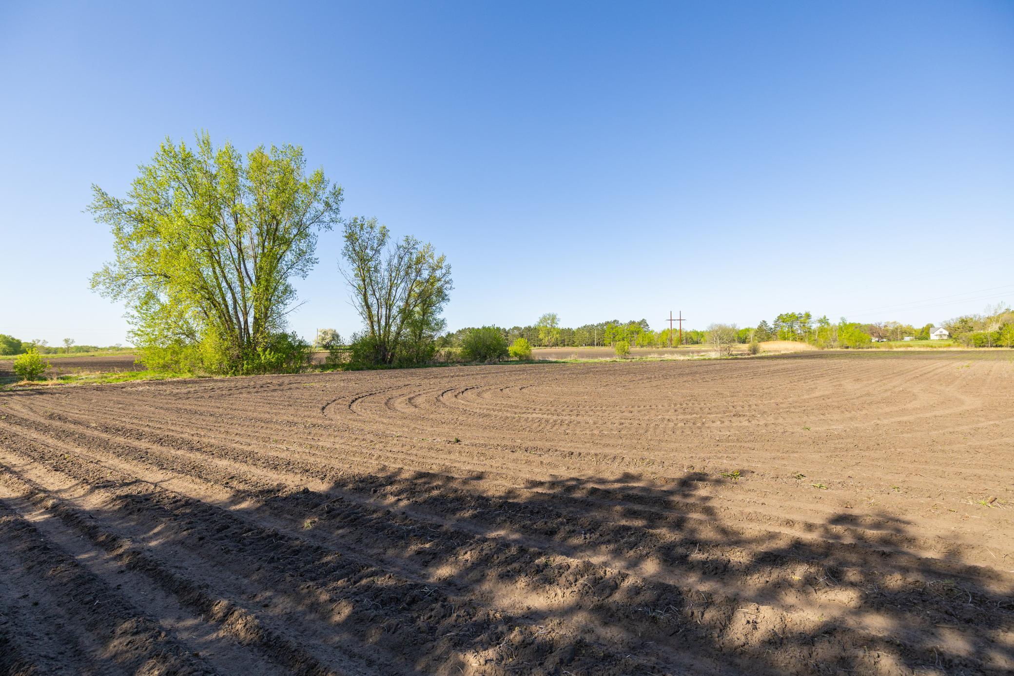 Parcel A 24+/-AC 465th Street, Harris, Minnesota image 17