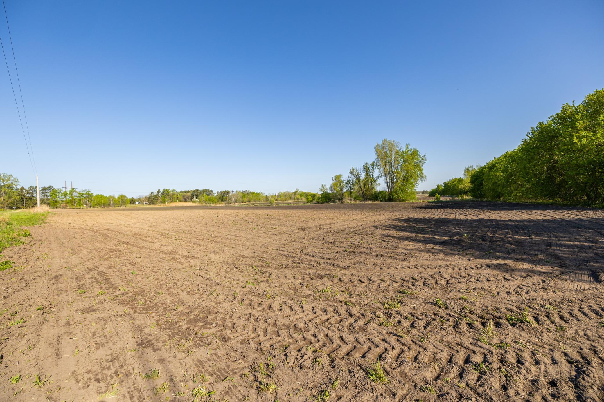 Parcel A 24+/-AC 465th Street, Harris, Minnesota image 4