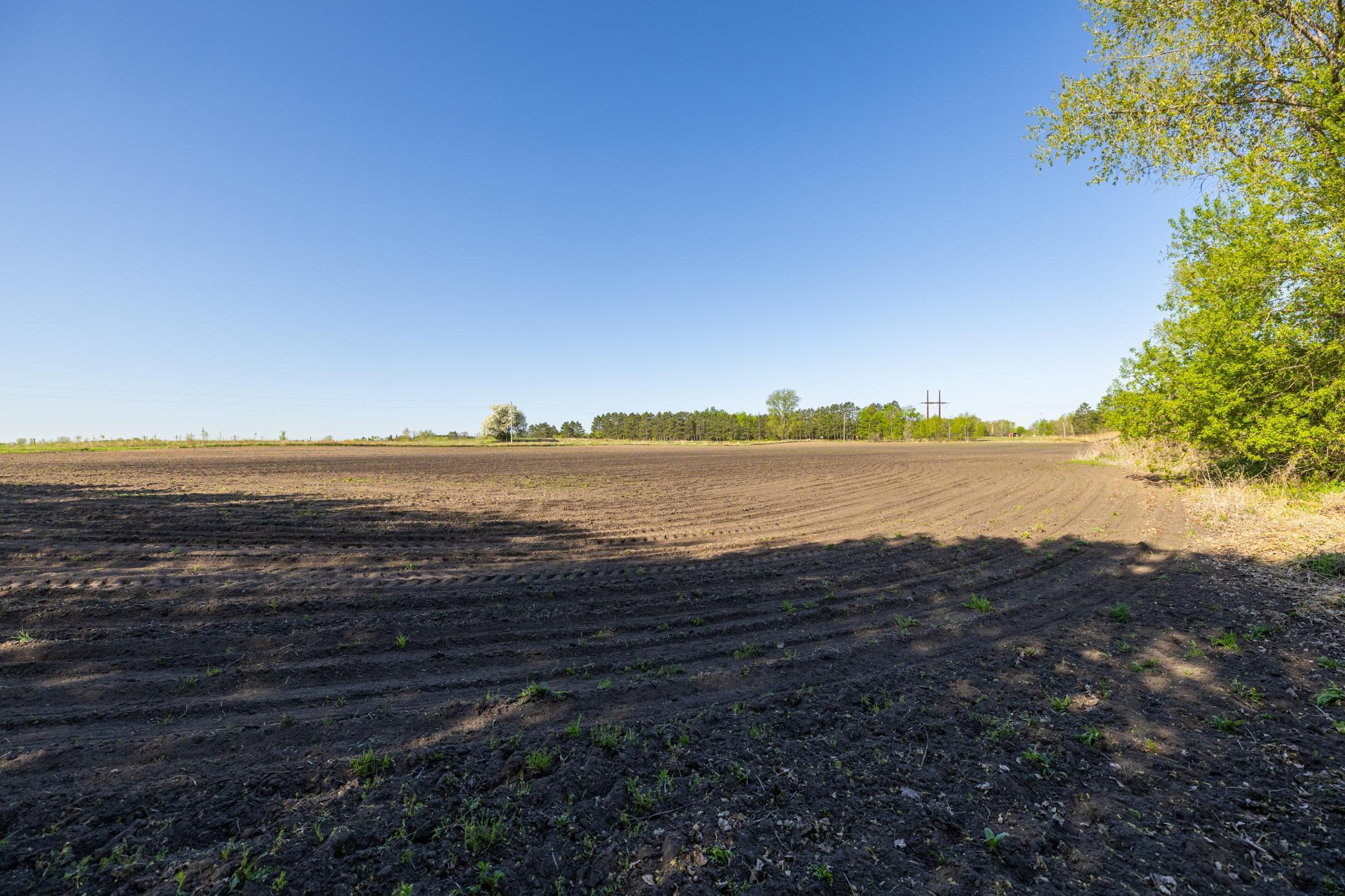 Parcel A 24+/-AC 465th Street, Harris, Minnesota image 12