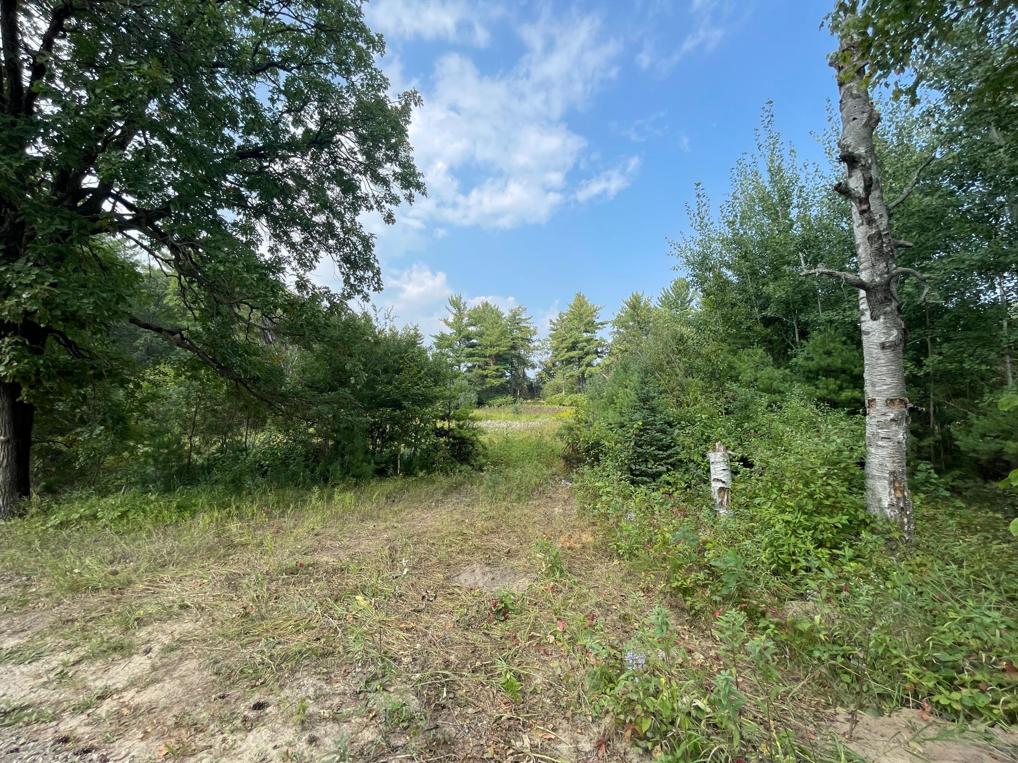 TBD Camp Fish Road, Akeley, Minnesota image 3