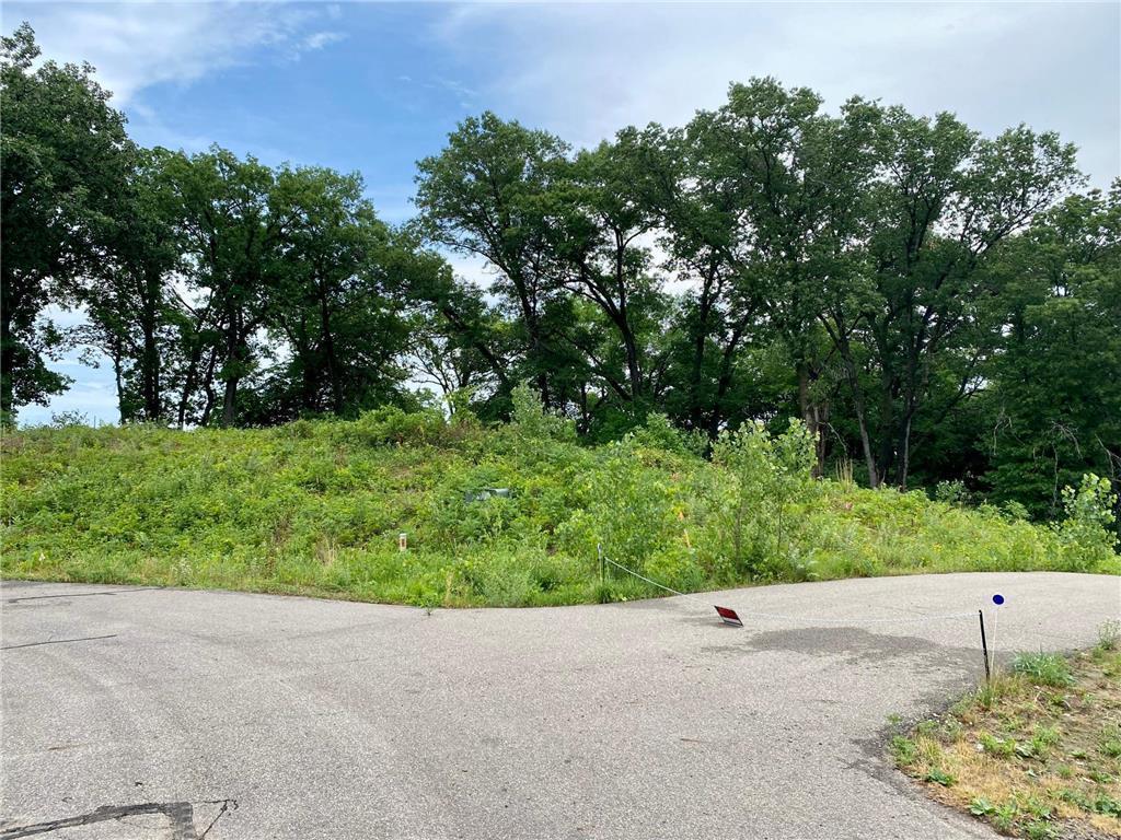 Lot 1R 330th Lane, Princeton, Minnesota image 14