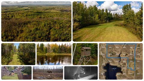 Vacant Land For Sale - 384 ACRES TBD Little Pine Road<br/> Emily, MN 56447