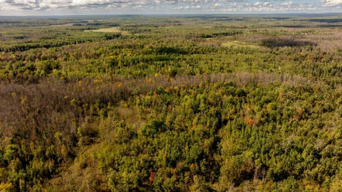 Vacant Land For Sale - 384 ACRES TBD Little Pine Road<br/> Emily, MN 56447