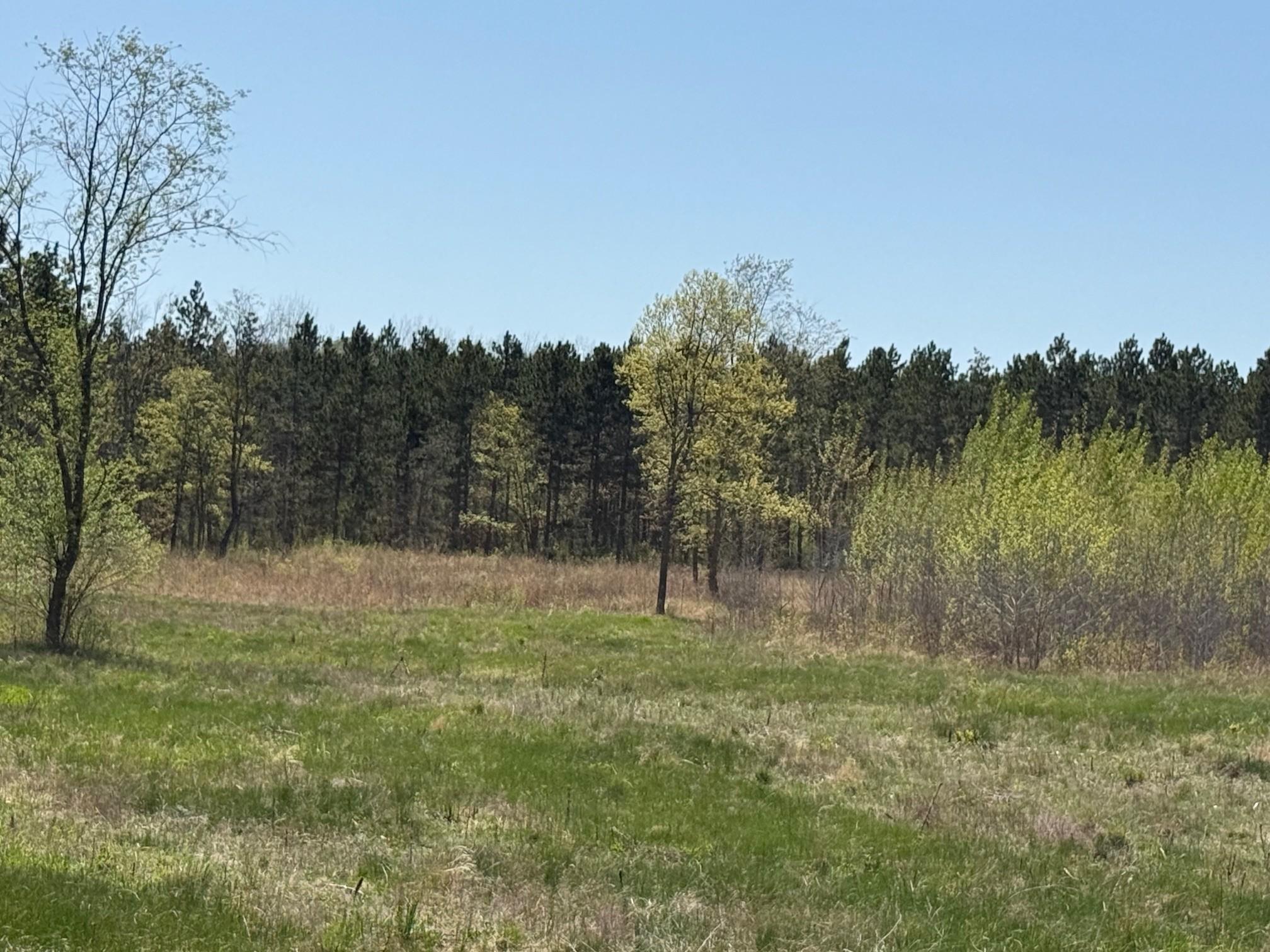 11.5 Acre Lot Nagel Road, Pequot Lakes, Minnesota image 8