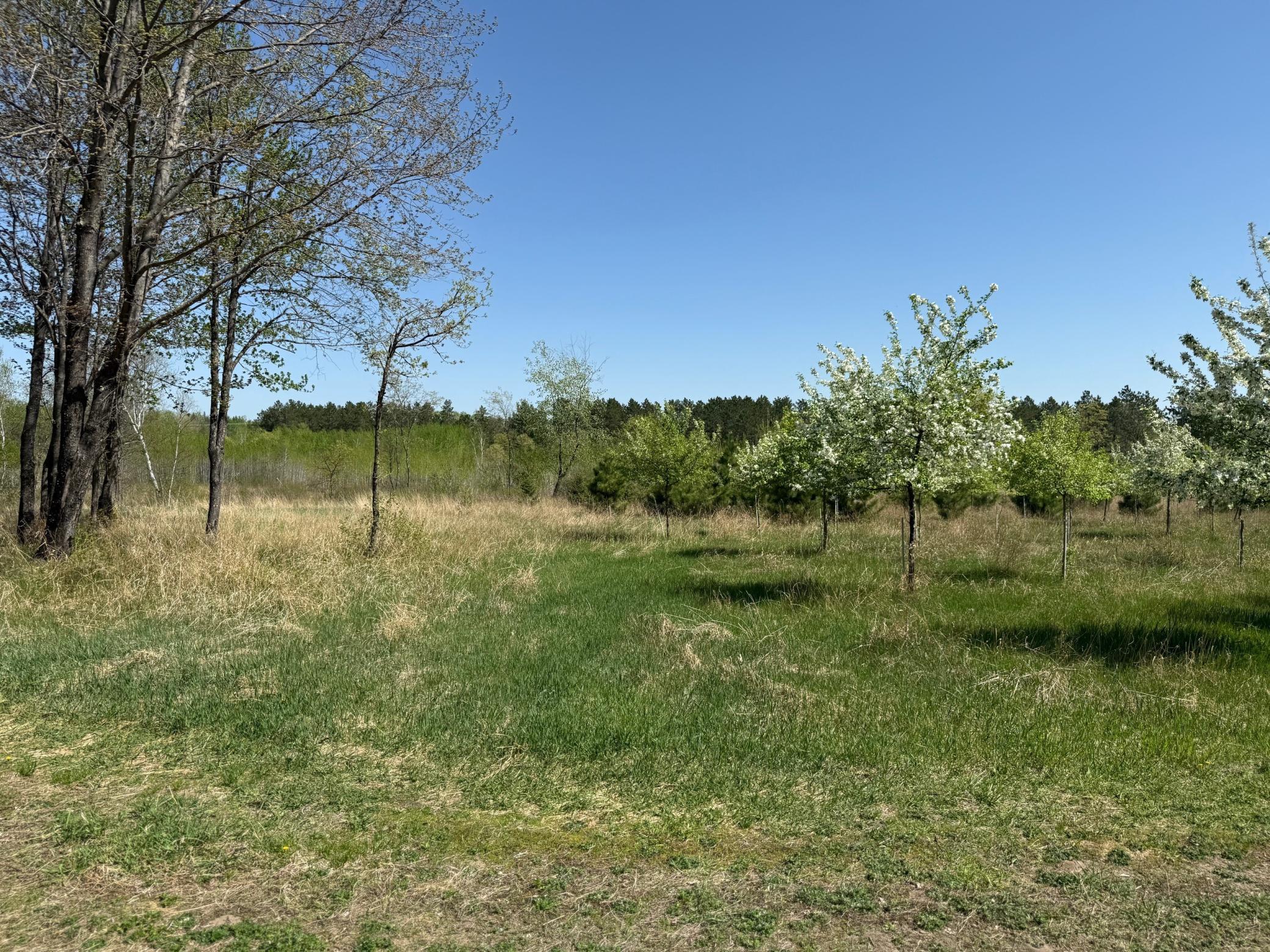 11.5 Acre Lot Nagel Road, Pequot Lakes, Minnesota image 4