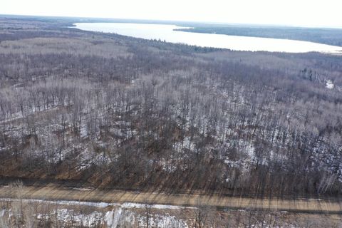 Vacant Land For Sale - TBD 315th Avenue<br/> Hubbard County, Laporte, MN 56461