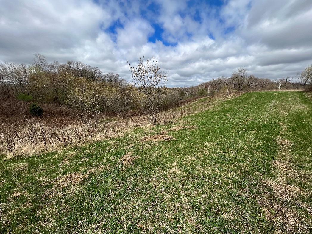 Evanger Road, Independence, Wisconsin image 6