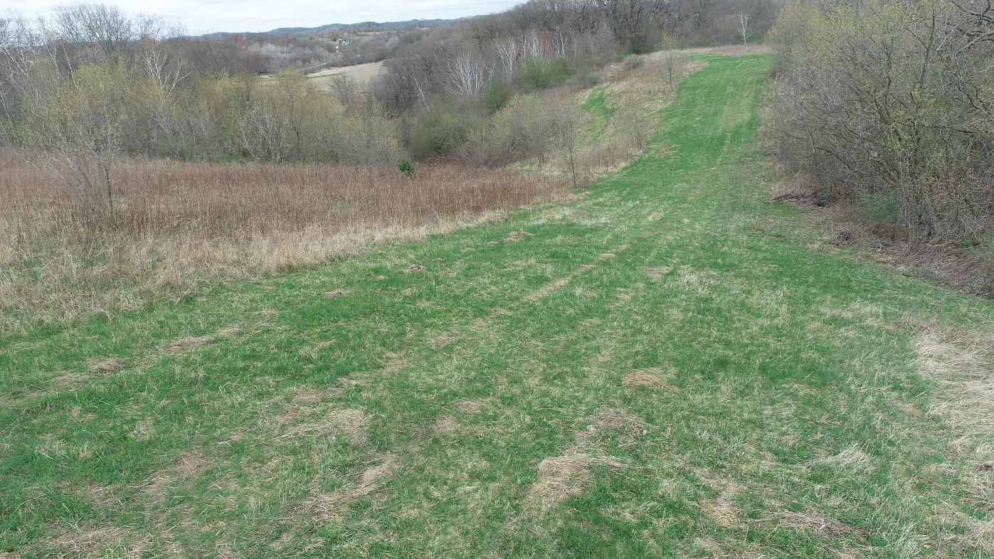 Evanger Road, Independence, Wisconsin image 12
