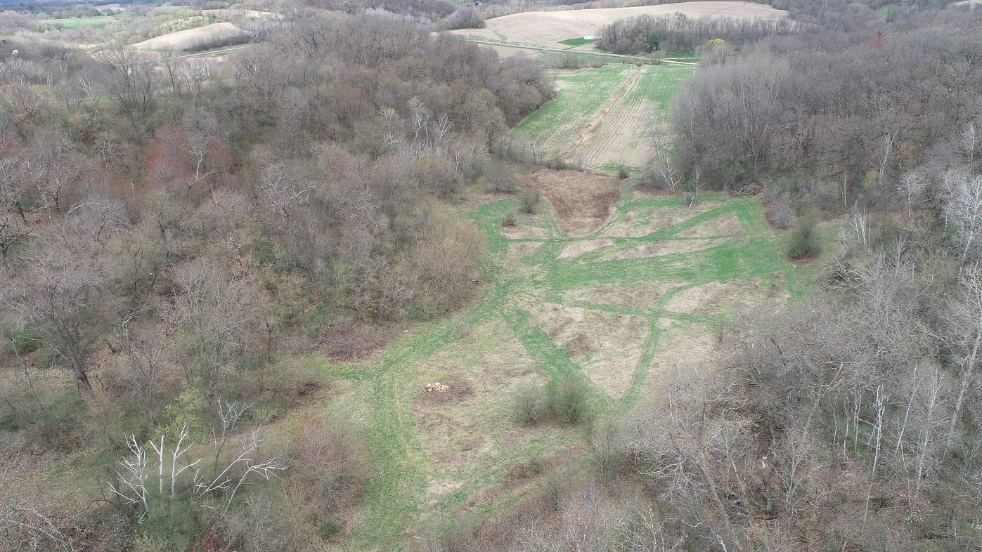 Evanger Road, Independence, Wisconsin image 1