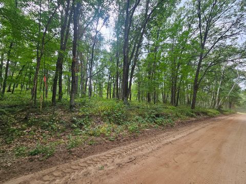Vacant Land For Sale - TBD TRACT B Richfield Road<br/> Pillager, MN 56473