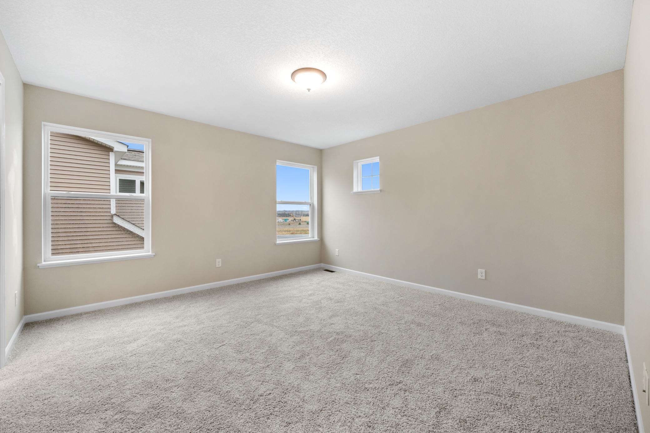 19365 Crocus Place, Farmington, Minnesota image 24