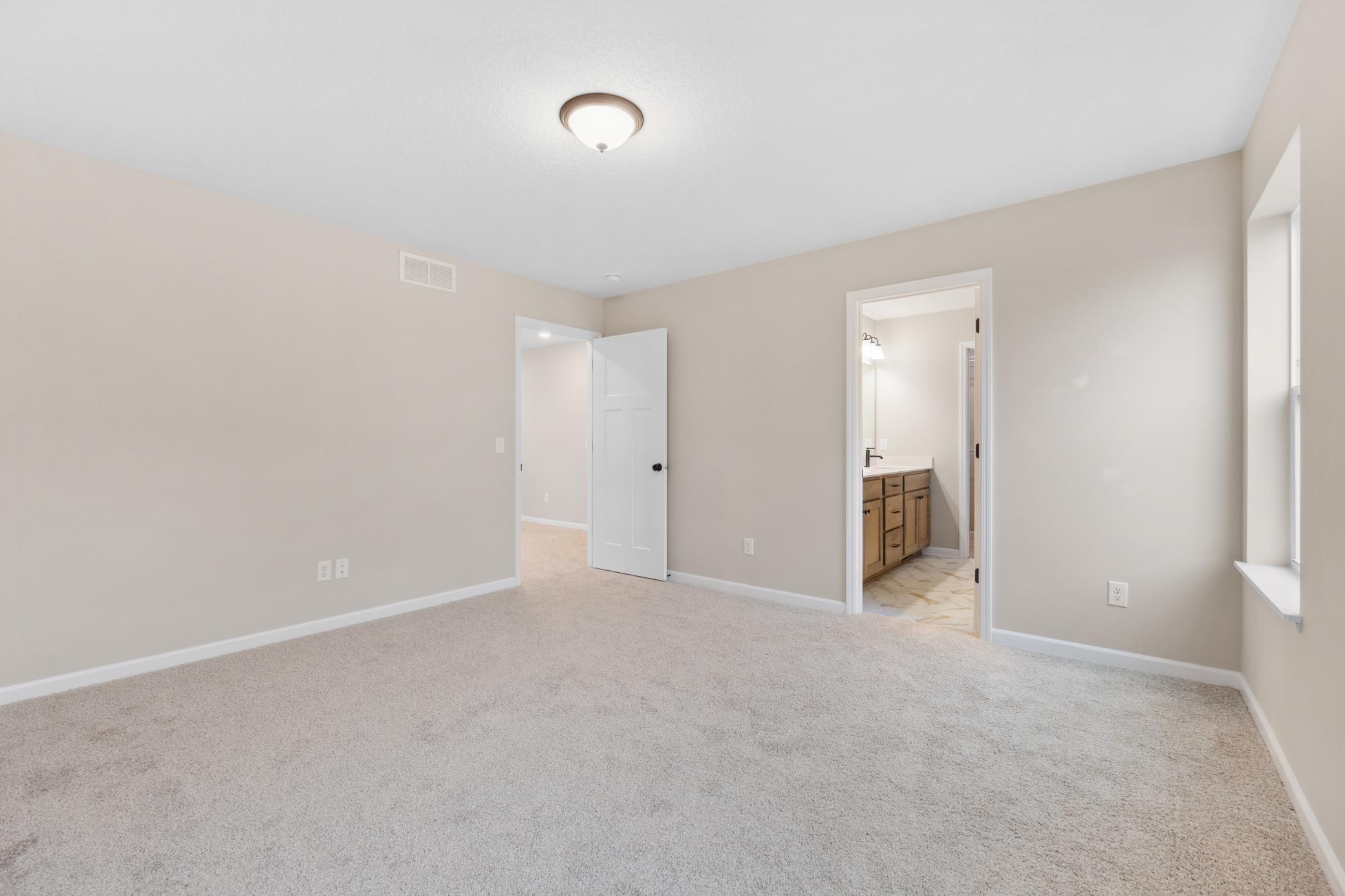 19365 Crocus Place, Farmington, Minnesota image 23