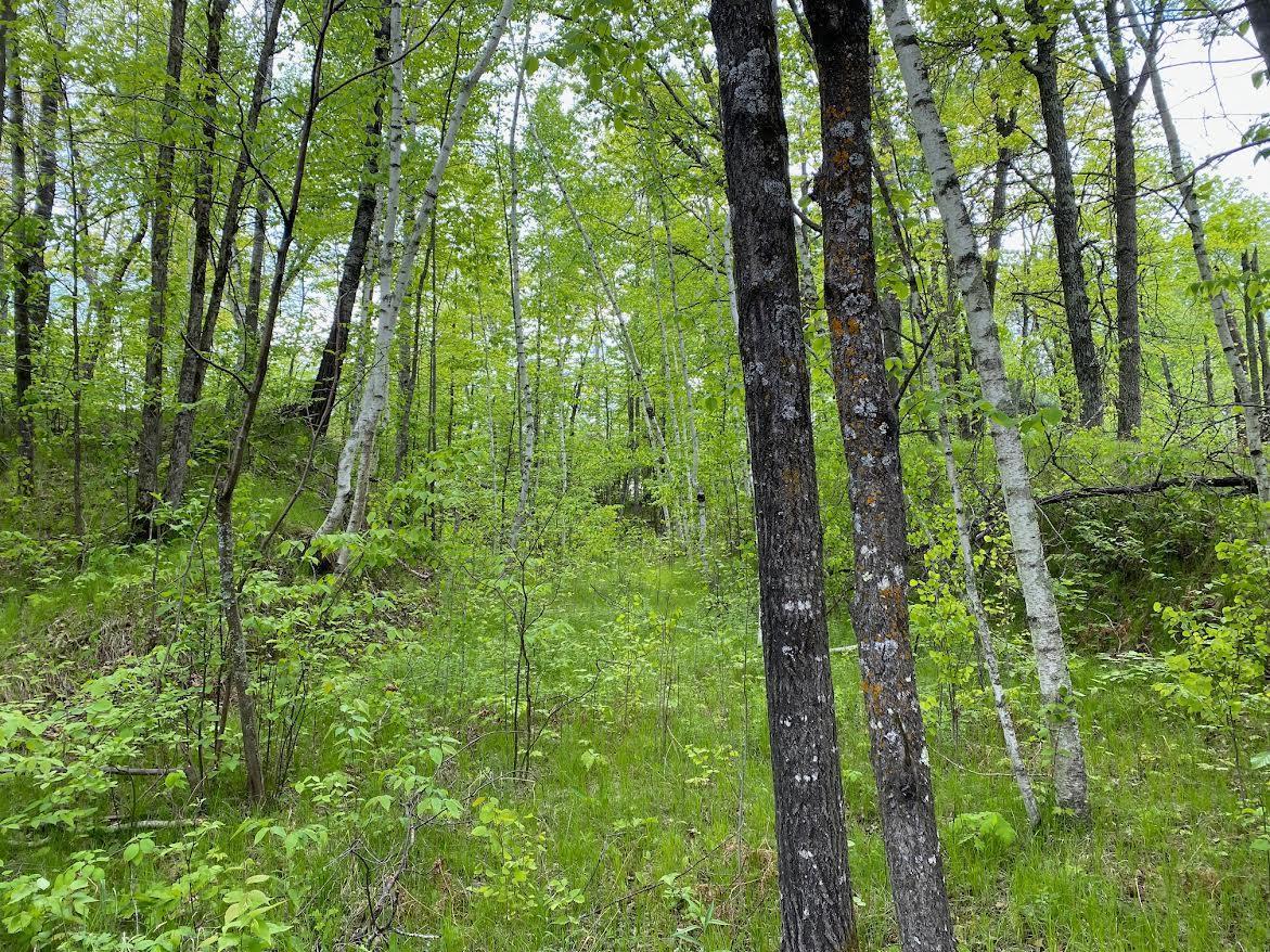 Hustvet Dr, Trego, Wisconsin image 8