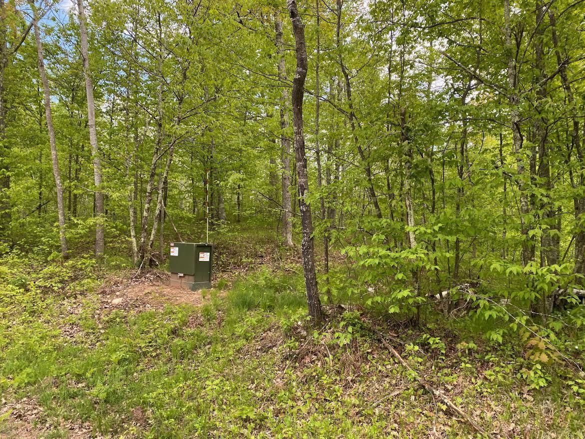 Hustvet Dr, Trego, Wisconsin image 7