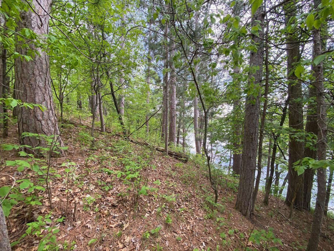 Hustvet Dr, Trego, Wisconsin image 10