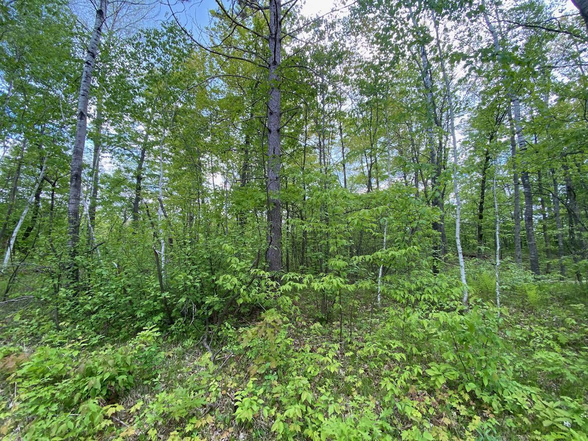 Hustvet Dr, Trego, Wisconsin image 11
