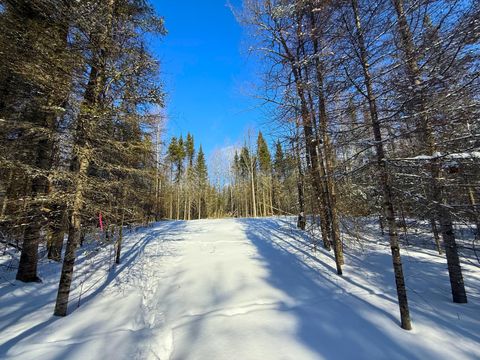 Vacant Land For Sale - 72XX E Central Lakes Road Lot A<br/> Saint Louis County, Eveleth, MN 55734