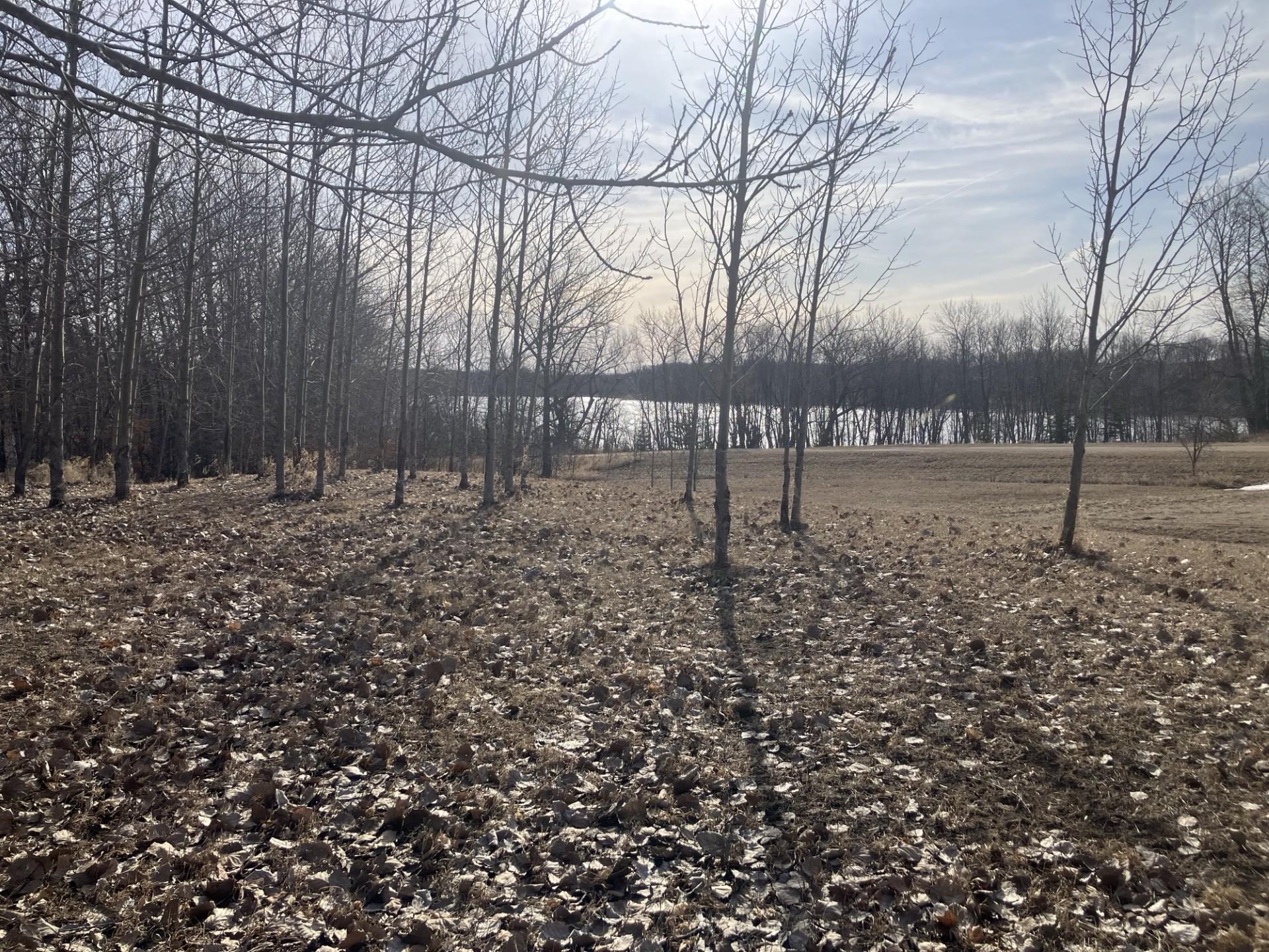 28247 Water Street Trail, Underwood, Minnesota image 17