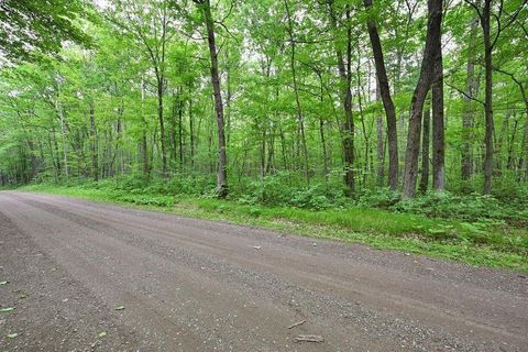 Vacant Land For Sale - LOT 2 Chippewa Avenue<br/> Sawyer County, Hayward, WI 54843