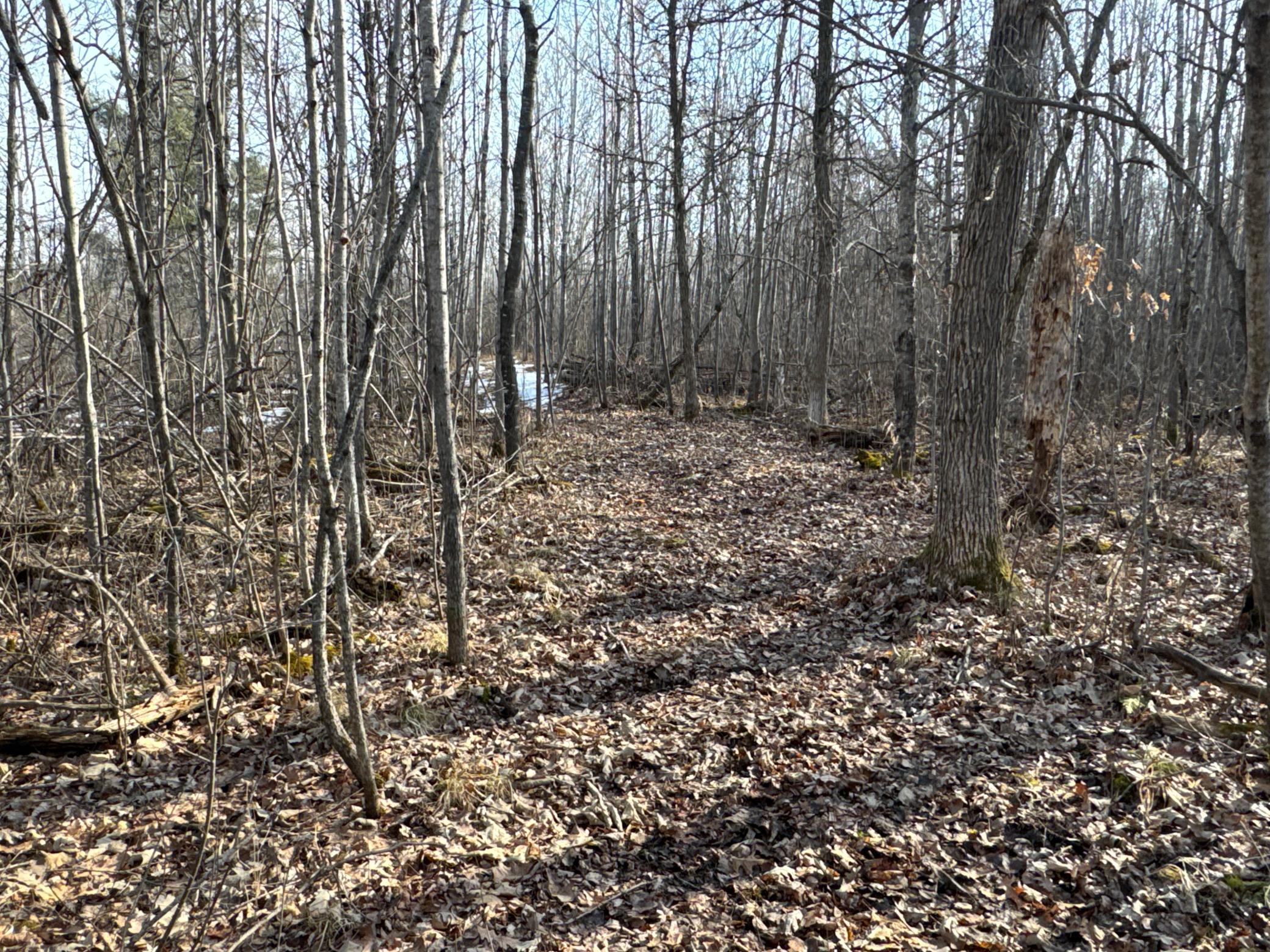 N10501 County Highway M, Springbrook, Wisconsin image 32