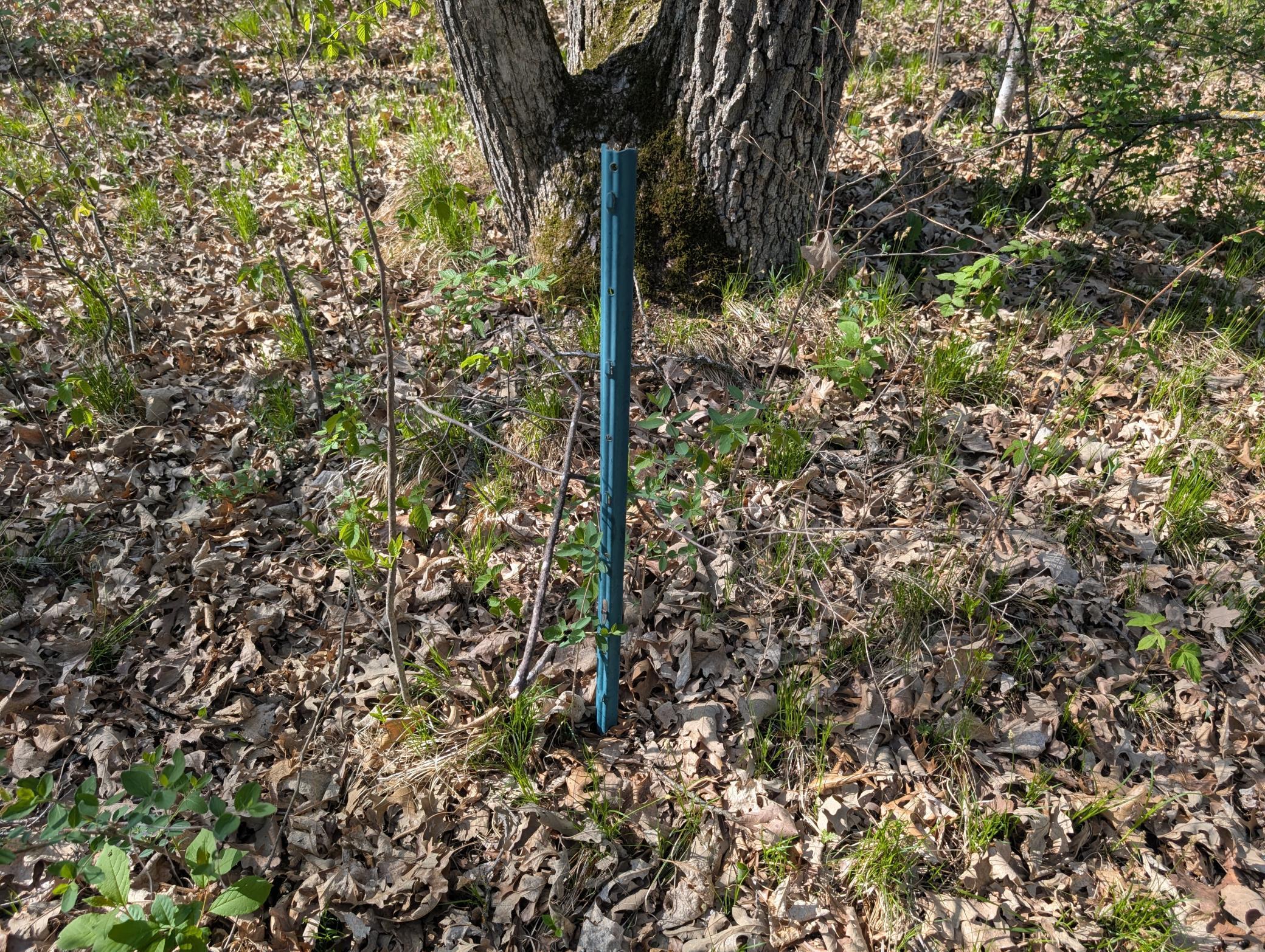TBDX Arbor Lane, Pillager, Minnesota image 5