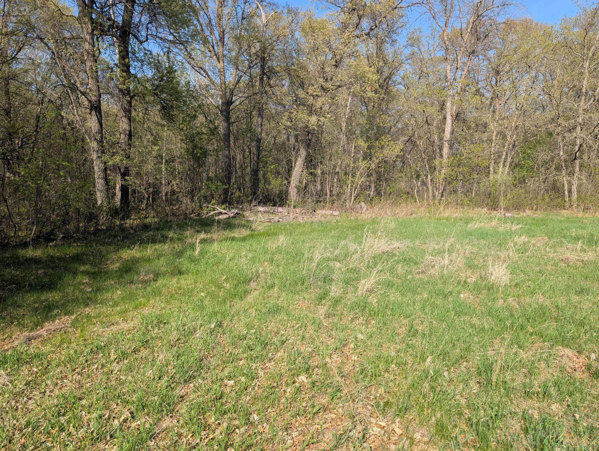 TBDX Arbor Lane, Pillager, Minnesota image 1