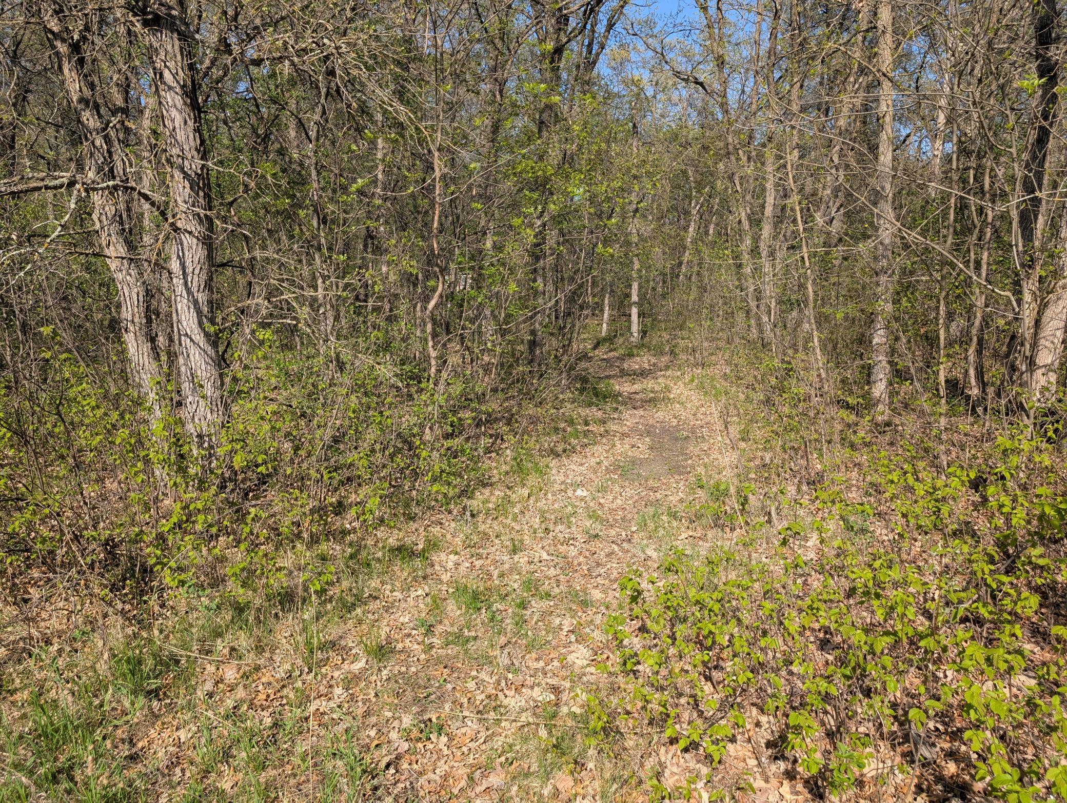 TBDX Arbor Lane, Pillager, Minnesota image 3