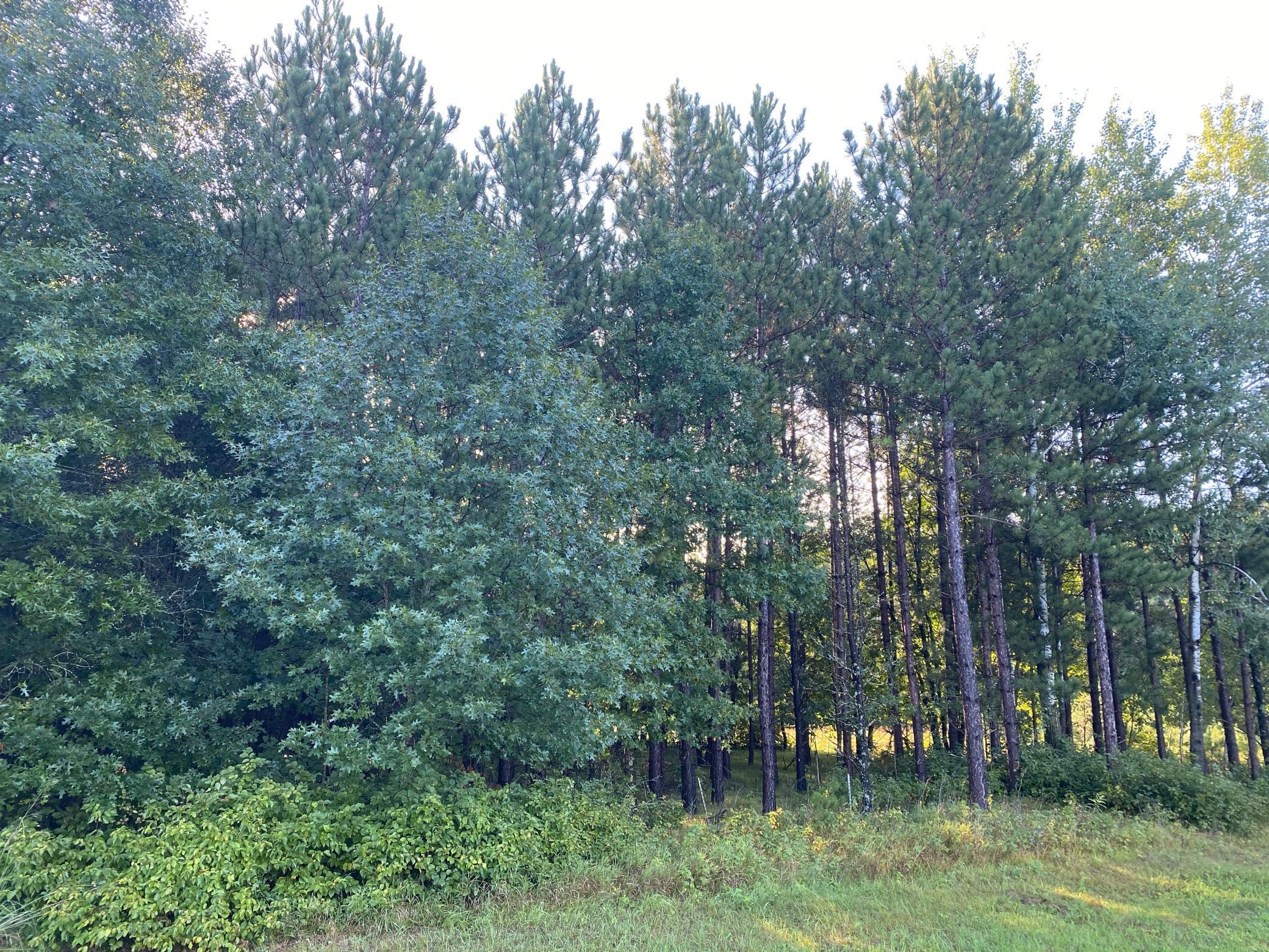 TBD Norway Spruce Drive, Baxter, Minnesota image 8