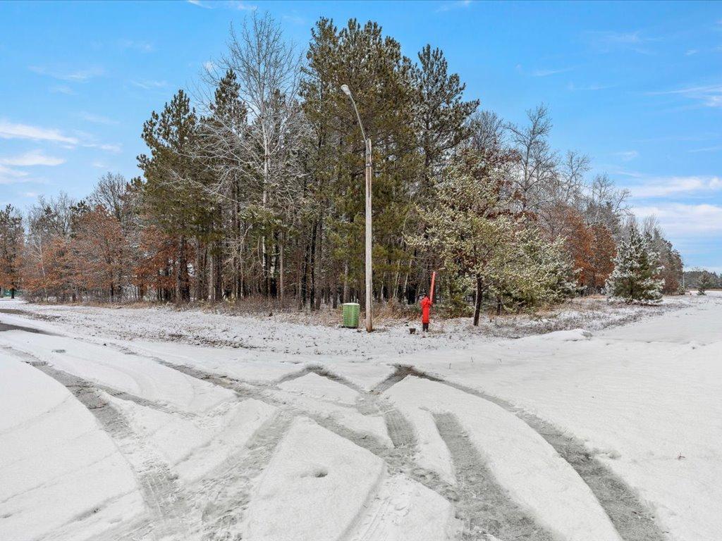TBD Norway Spruce Drive, Baxter, Minnesota image 13
