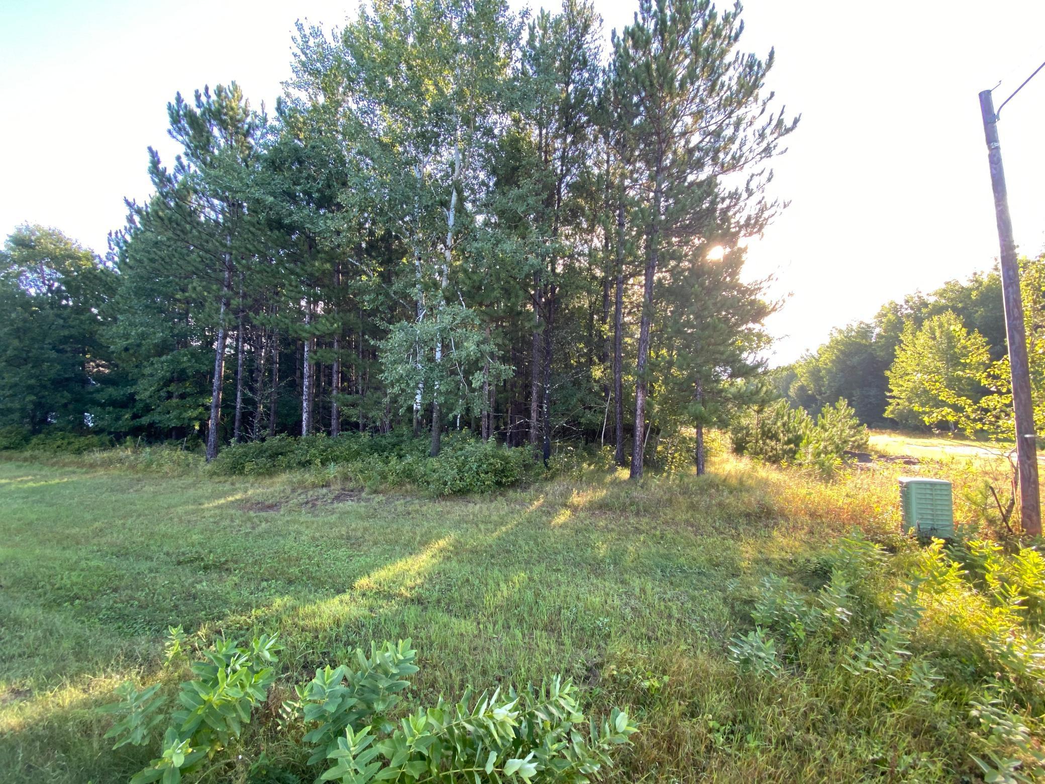 TBD Norway Spruce Drive, Baxter, Minnesota image 9