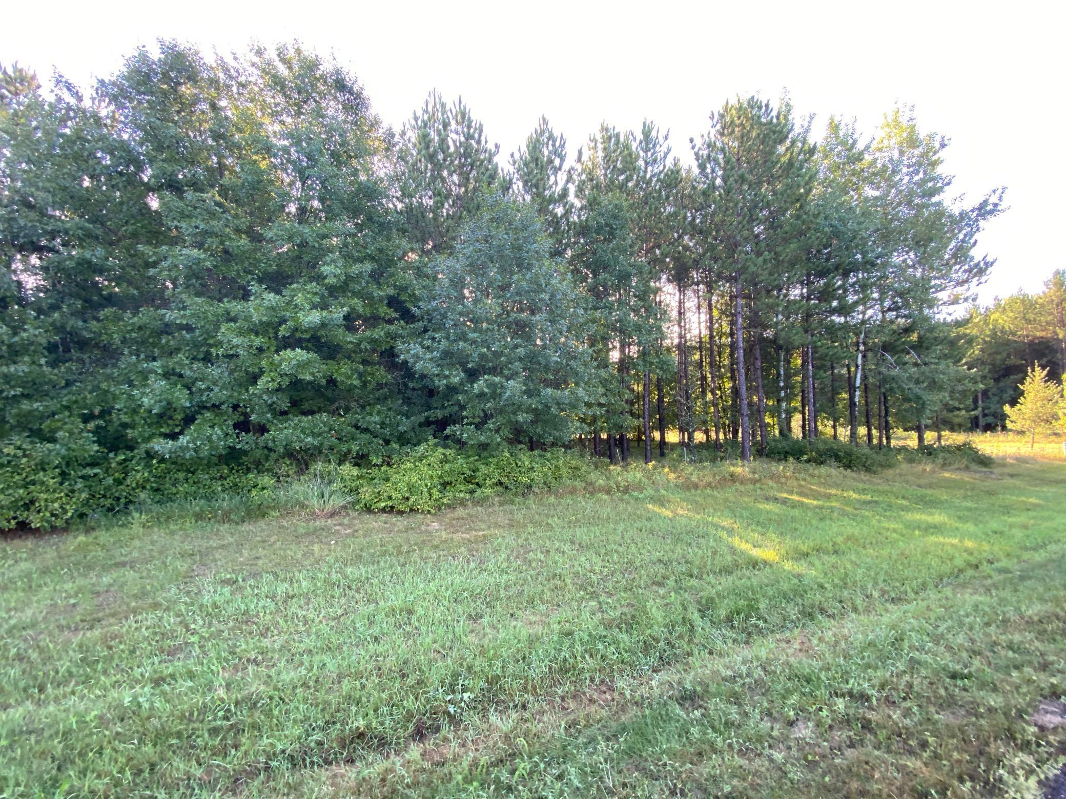 TBD Norway Spruce Drive, Baxter, Minnesota image 5