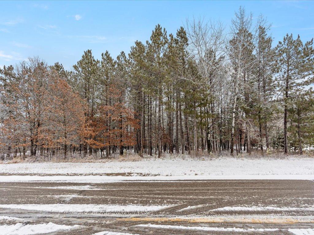 TBD Norway Spruce Drive, Baxter, Minnesota image 15