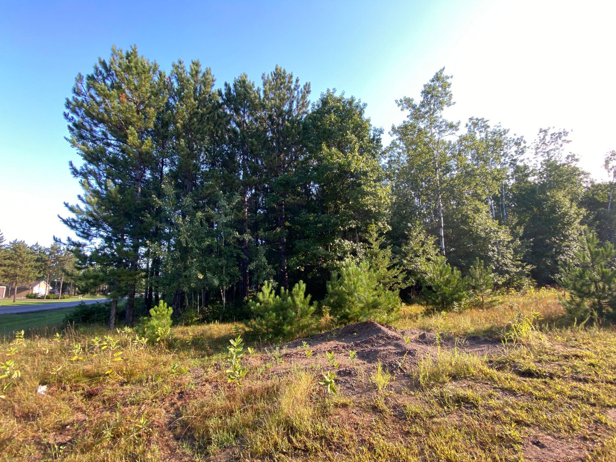 TBD Norway Spruce Drive, Baxter, Minnesota image 6