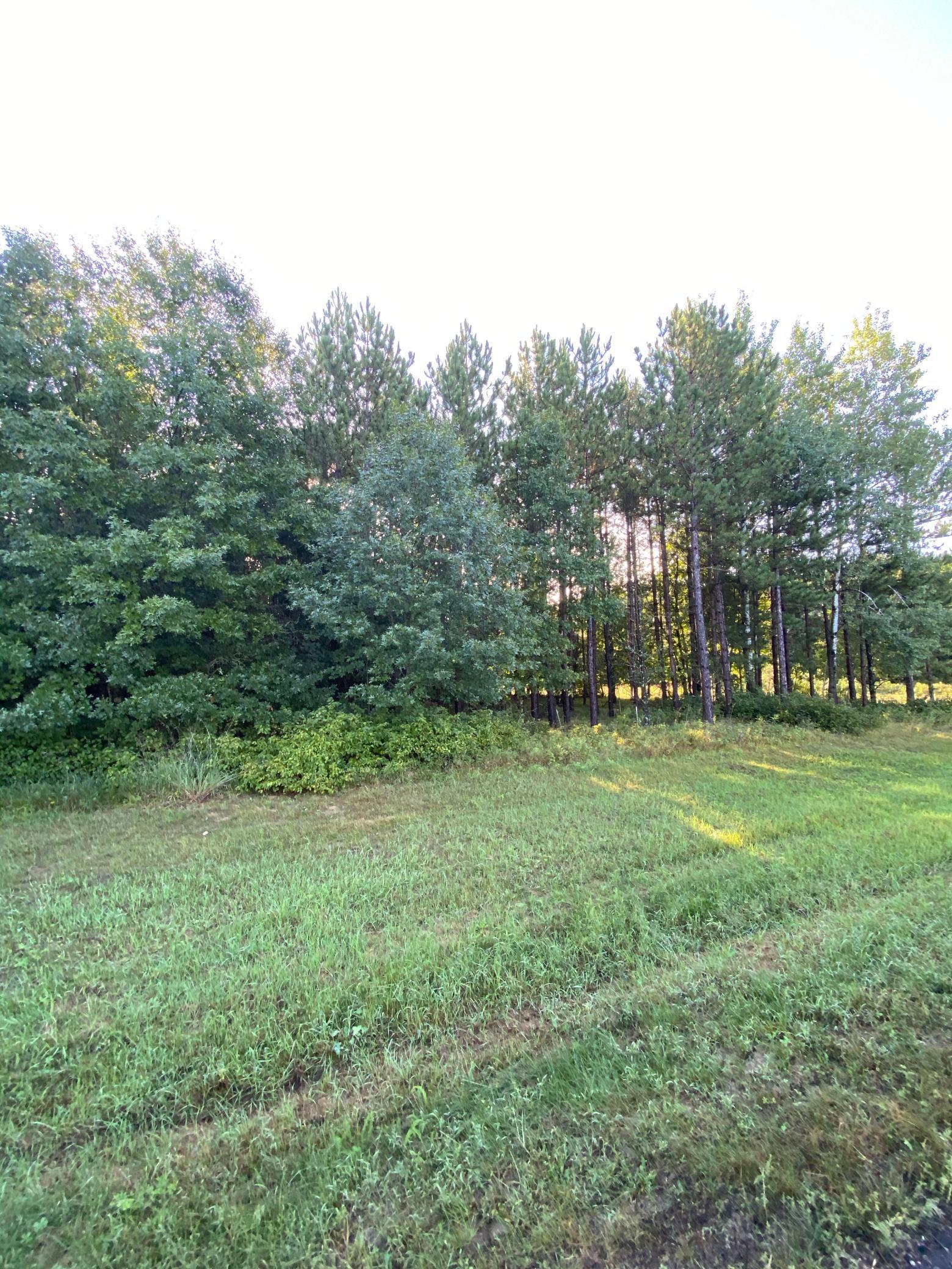 TBD Norway Spruce Drive, Baxter, Minnesota image 4