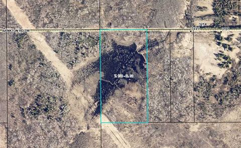 Vacant Land For Sale - TBD Bankton Rd Sw<br/> Baudette, MN 56623