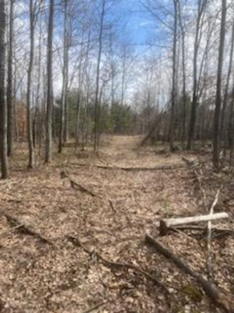 Vacant Land For Sale - 249XX Gile Road<br/> Burnett County, Grantsburg, WI 54840