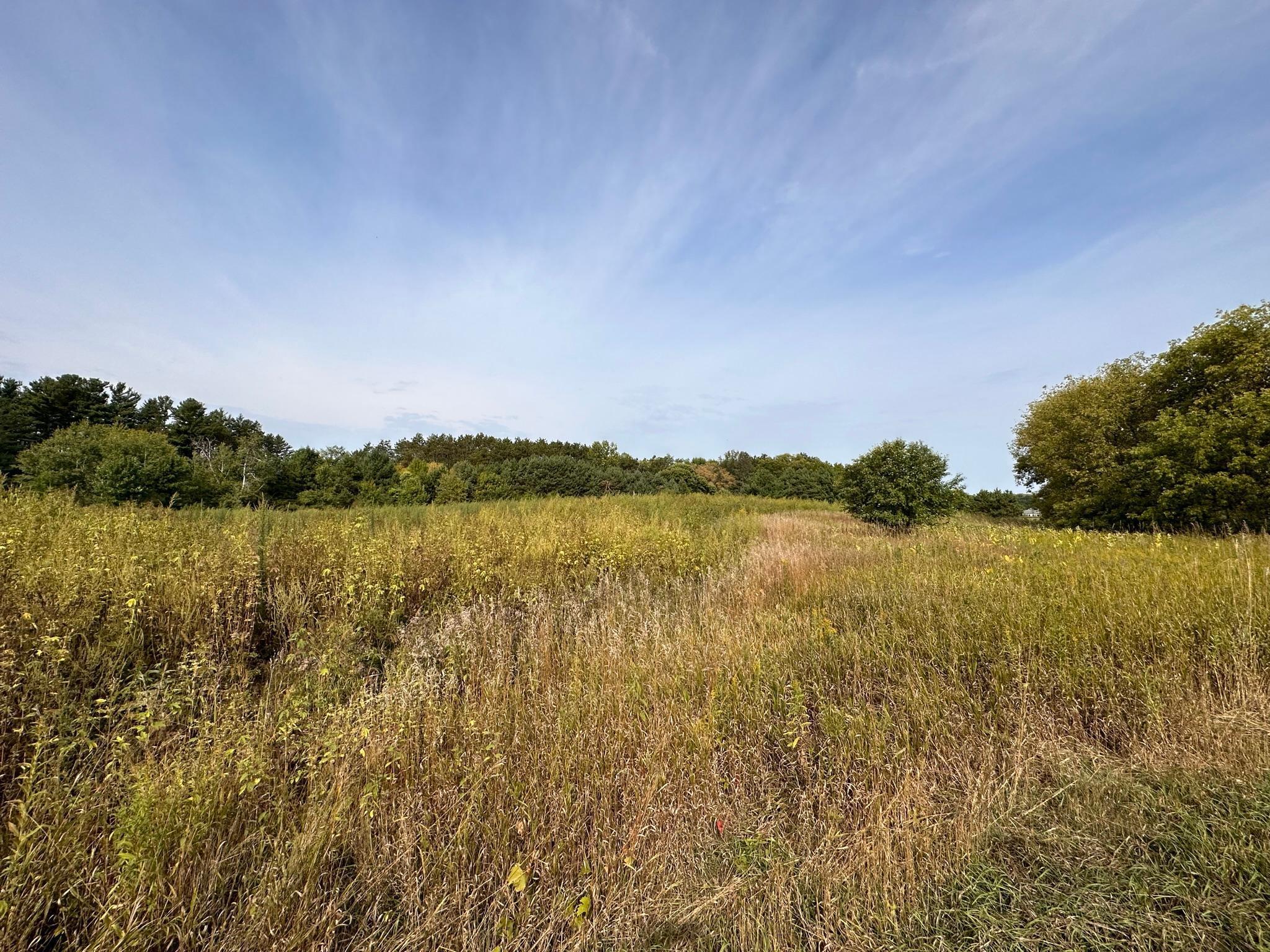 15XXX Oakhill Road, Scandia, Minnesota image 2