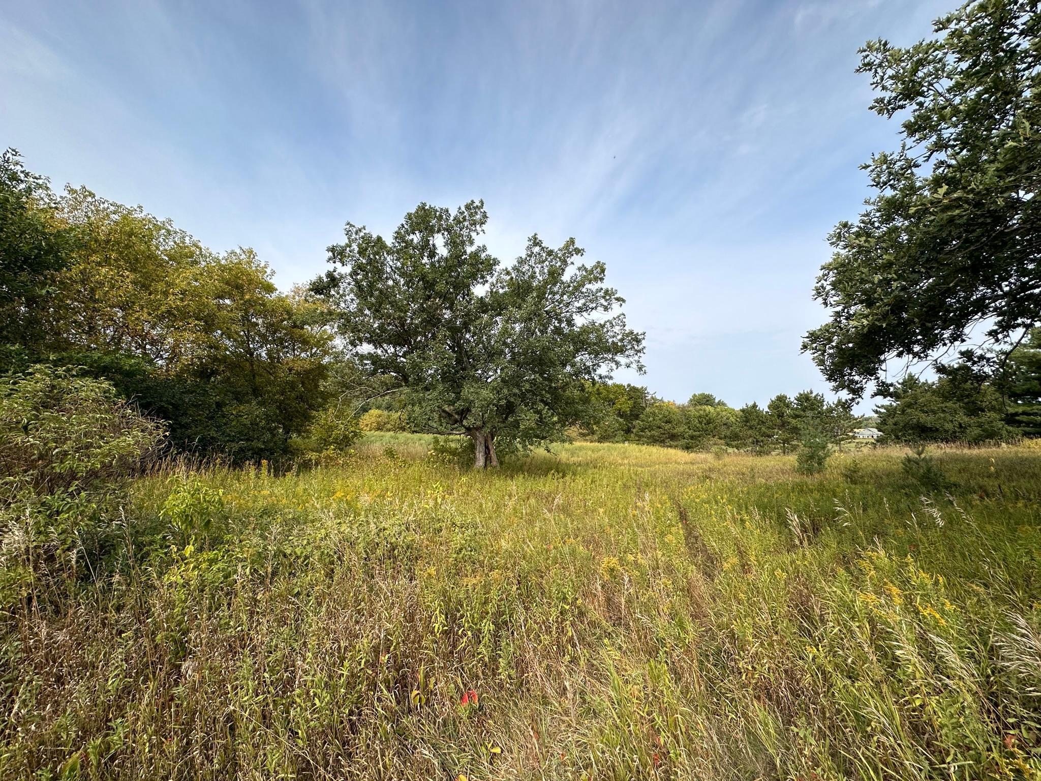 15XXX Oakhill Road, Scandia, Minnesota image 4