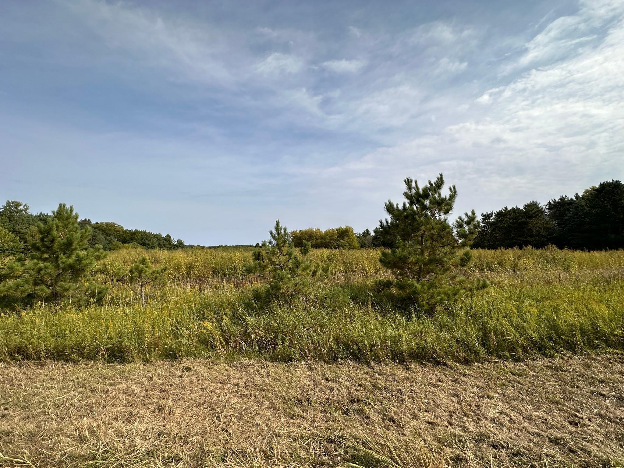 15XXX Oakhill Road, Scandia, Minnesota image 10