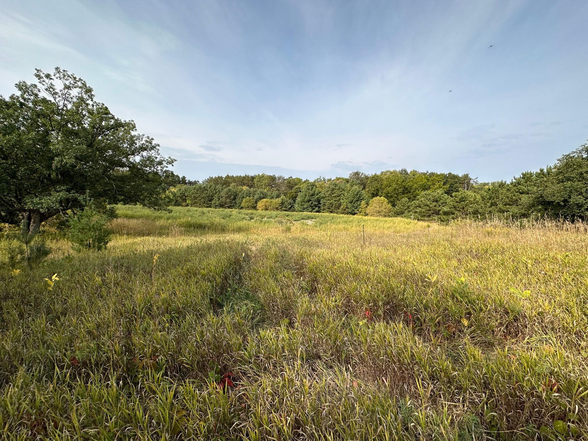 15XXX Oakhill Road, Scandia, Minnesota image 6